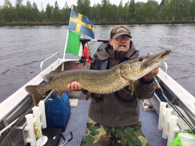 A sportfishing guest from France with a pike of 115 cm!, catched at Villa Solsidan in august 2017