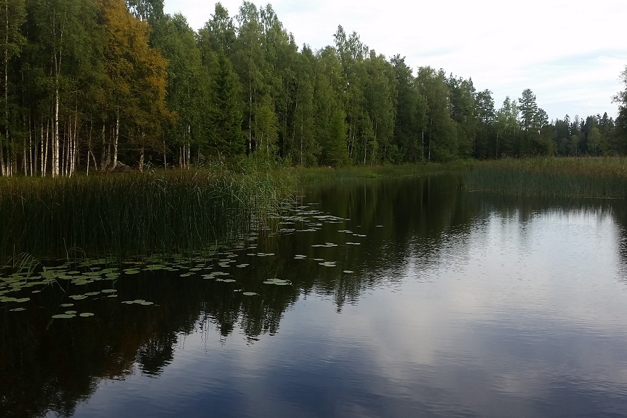 River Delångersån