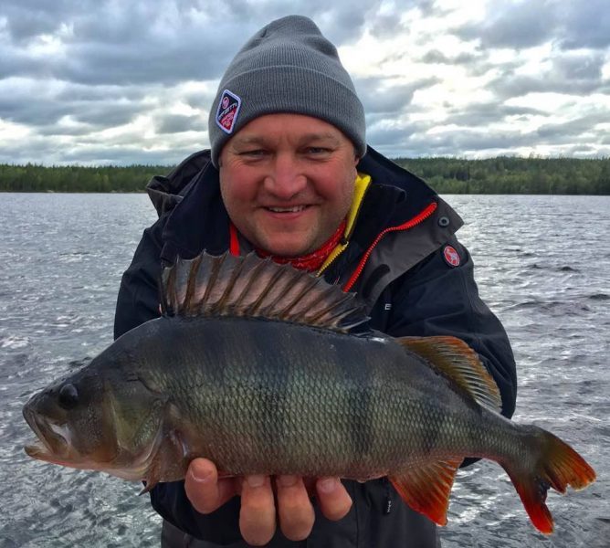 Arek from Poland with a nice perch from Lillbo!