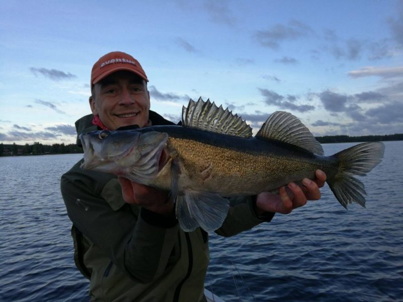 Tomek from Poland with a nice zander from Lillbo!